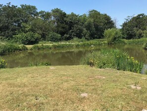 Property grounds - Limetree Luxury Glamping Southdown (Retford)