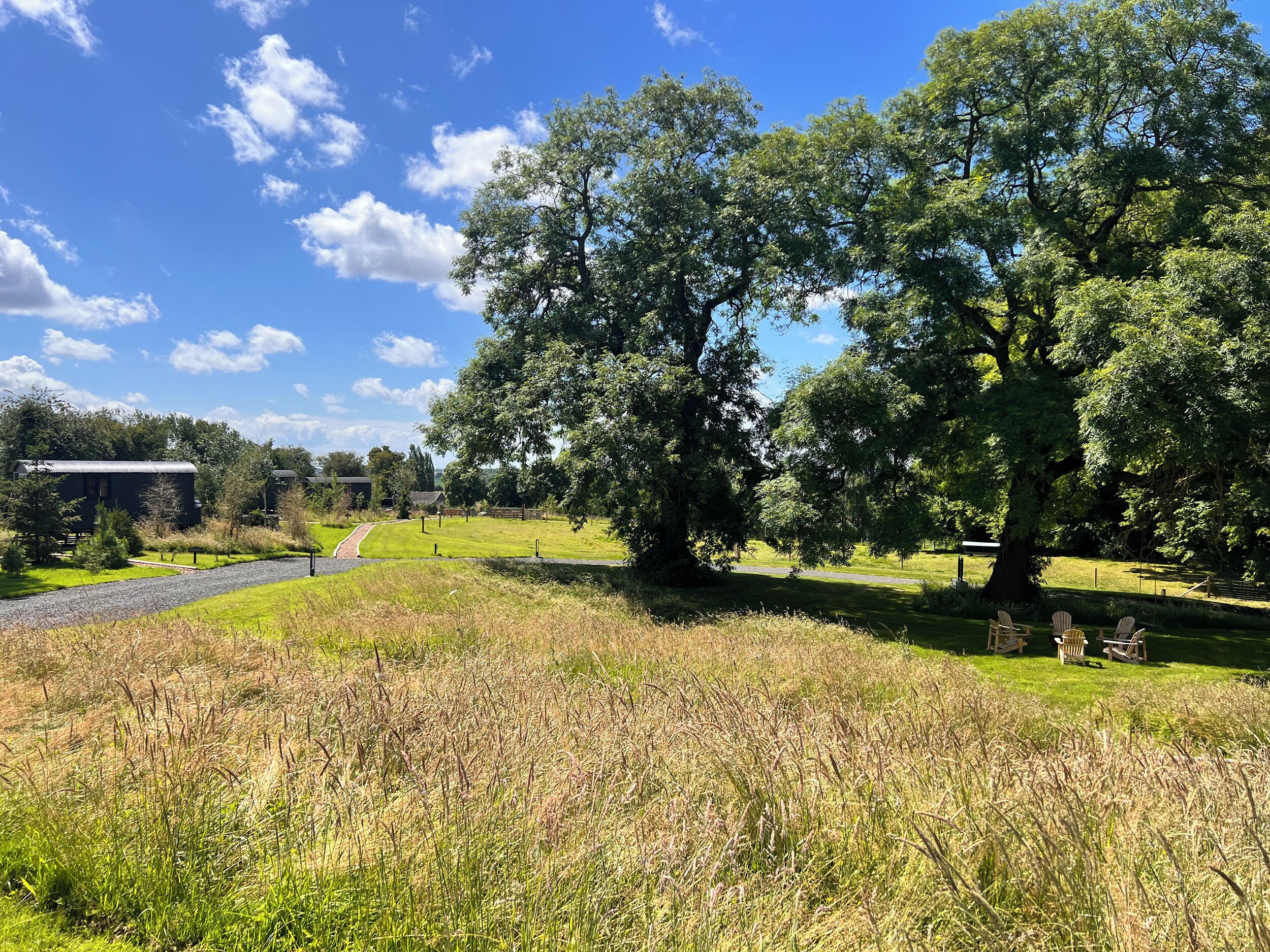 A rural landscape with a gravel path leading to a building, surrounded by trees and grassy fields.