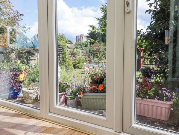 Interior - Wildlife Haven (Margate)