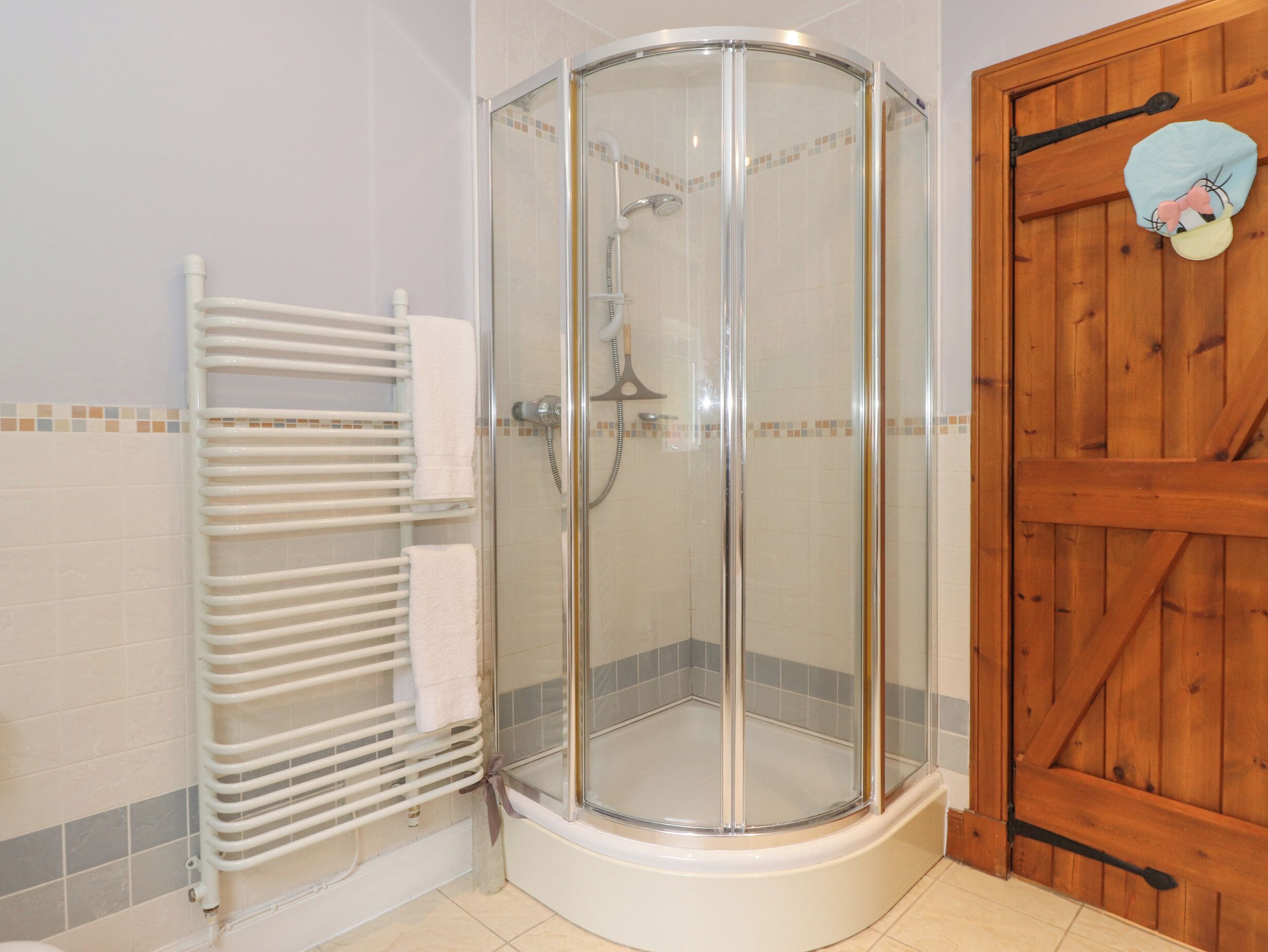 A shower area with a glass door, a white towel rack, and a wooden door.