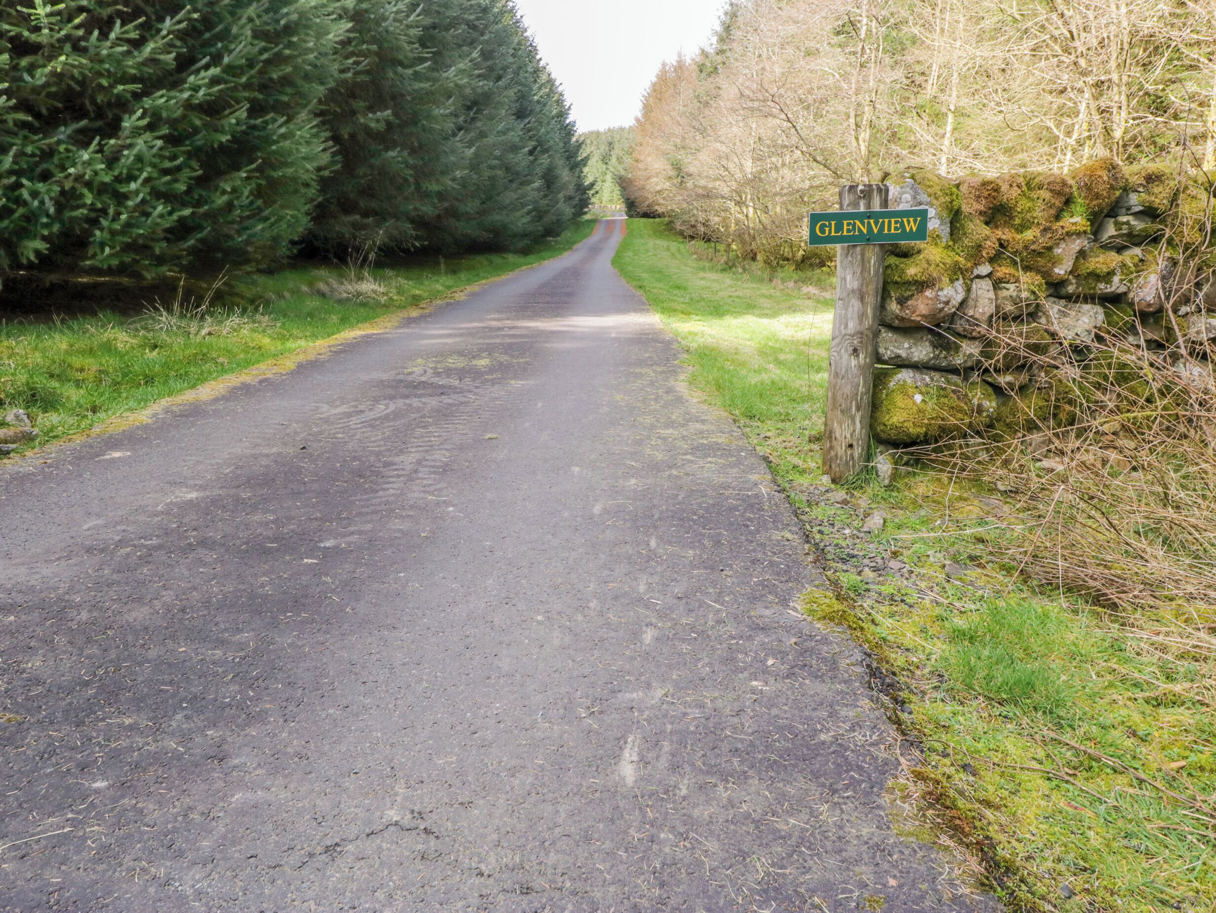 A rural road named Glenview, flanked by dense trees and a stone wall.