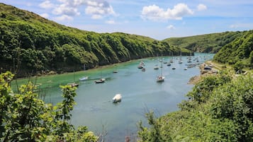 Un río con barcos, rodeado de colinas verdes y exuberantes.