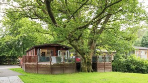 A wooden cabin with a glass enclosure, surrounded by lush greenery and a paved path. - Tranquil Waters (Windermere)