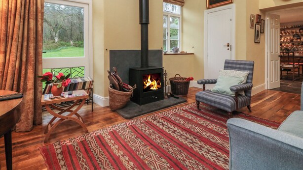 Una sala de estar acogedora con chimenea, un sillón cómodo, una estantería y vistas al exterior.