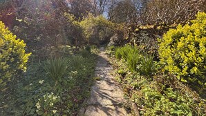 Un sendero de piedra rodeado de abundante vegetación y árboles.