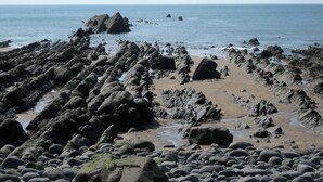 Playa