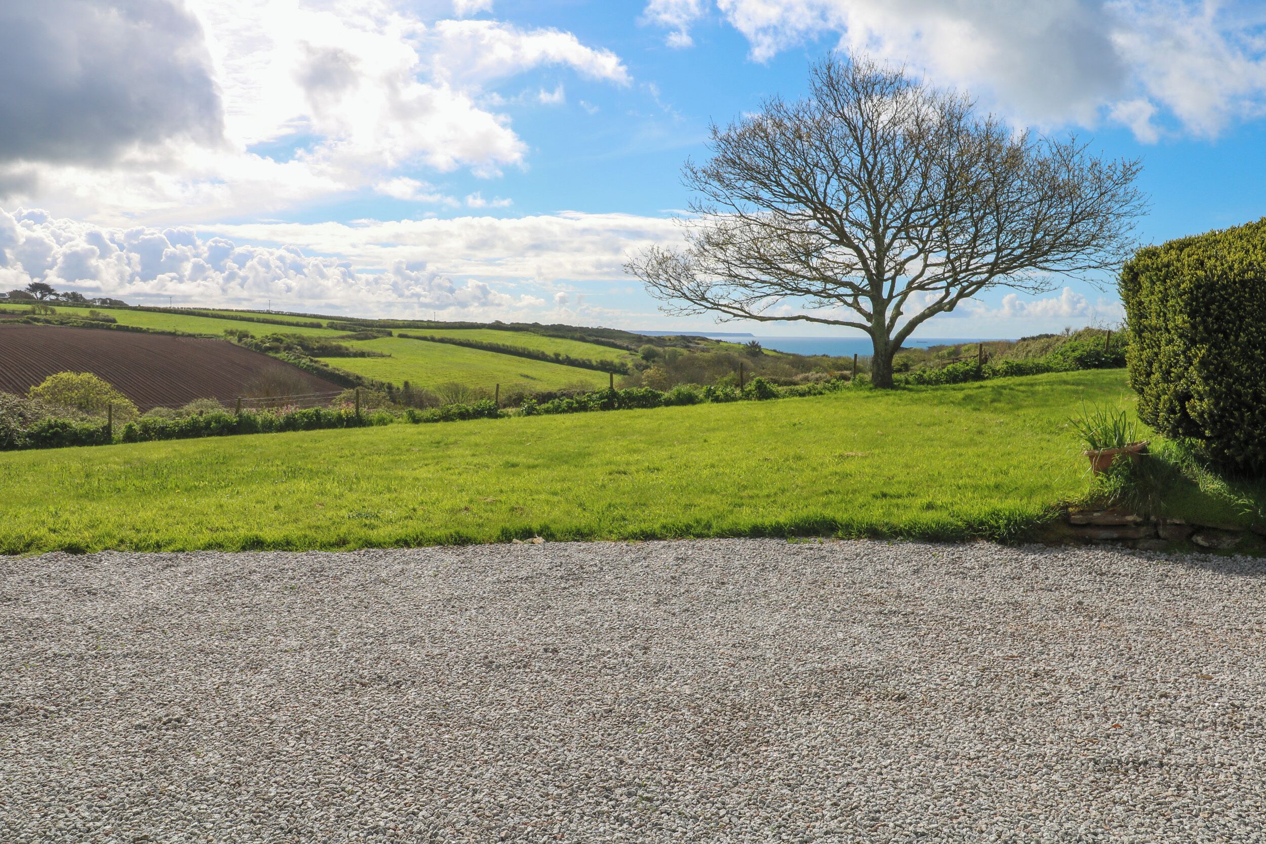 A rural landscape with a large tree, rolling green fields, and a gravel path.