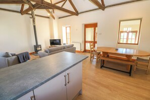 Fireplace - The Granary (Penzance)