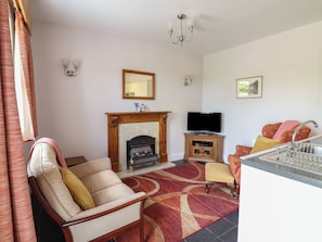 Fireplace, DVD player - Ty Llaeth Cottage (Tywyn)
