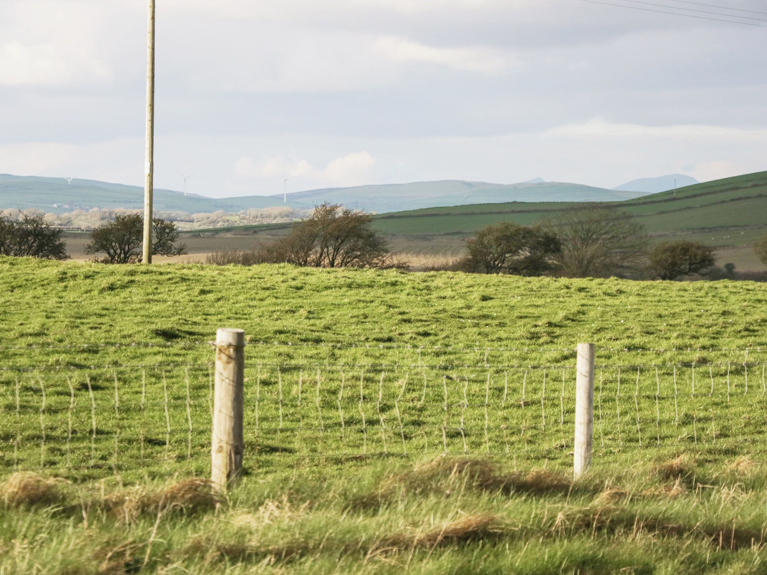 A grassy field with a fence and a distant wind turbine.