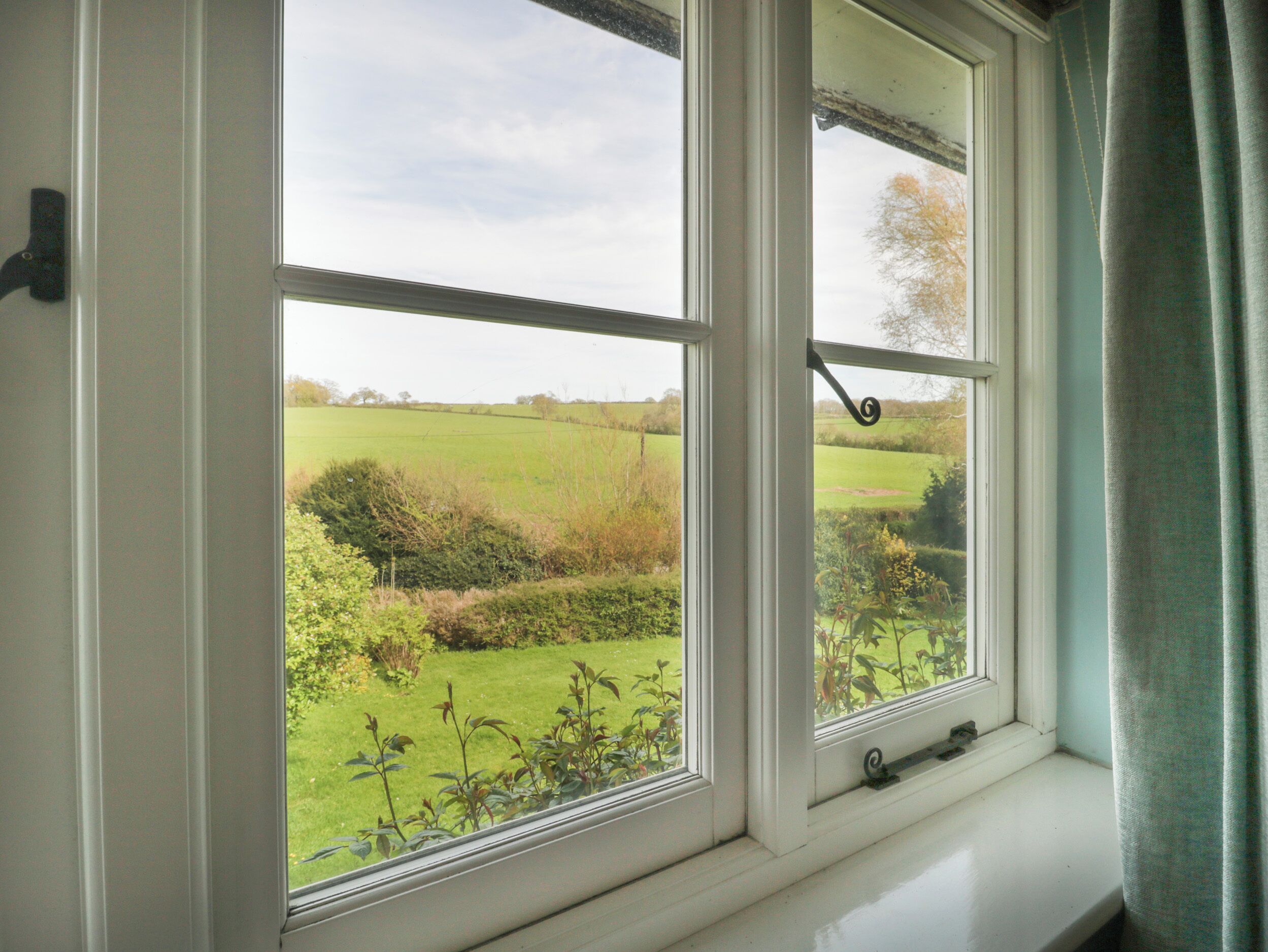 A window with a view of a green field and a tree.