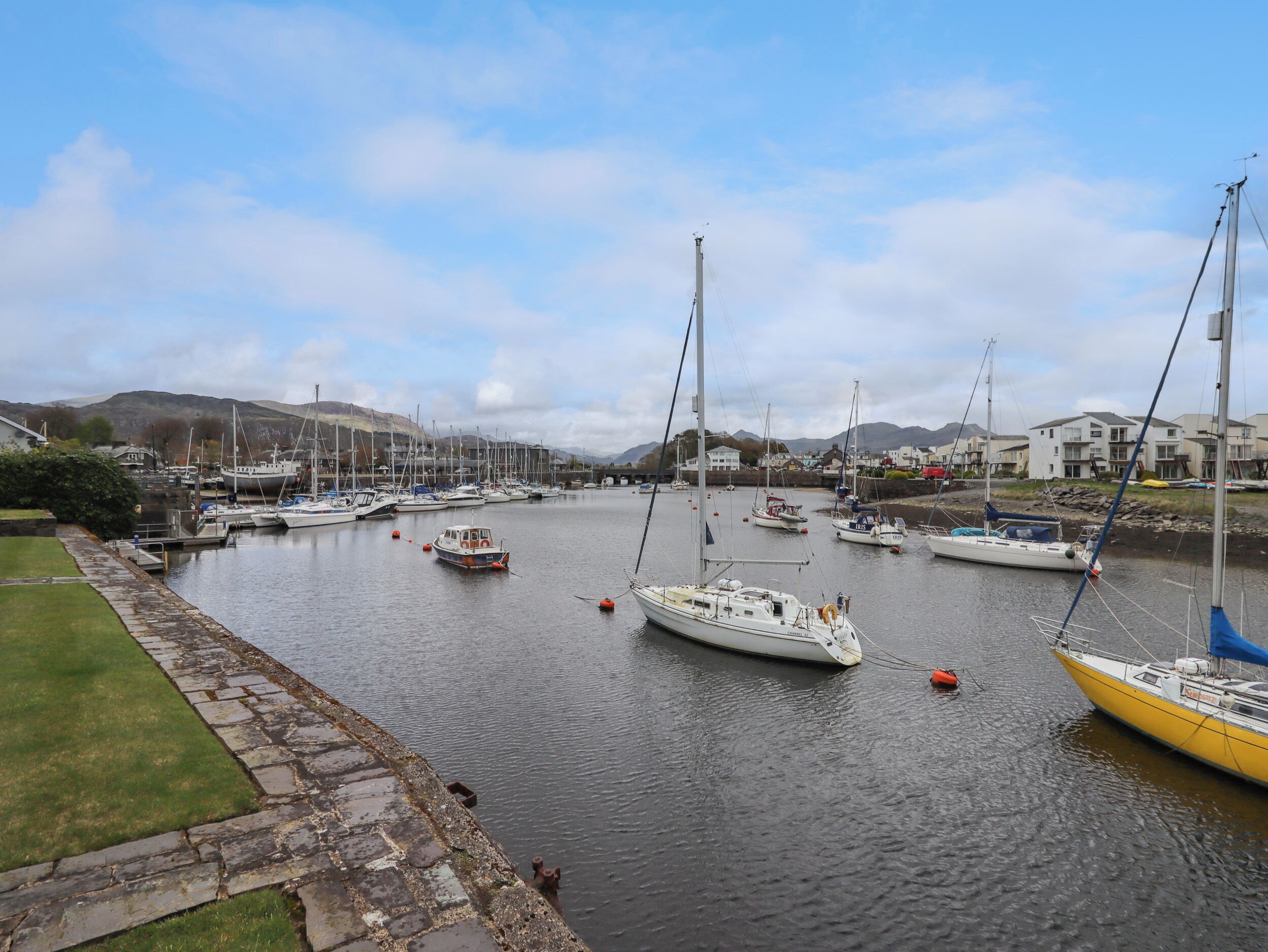 A marina with multiple boats docked, surrounded by residential buildings and hills in the background.
