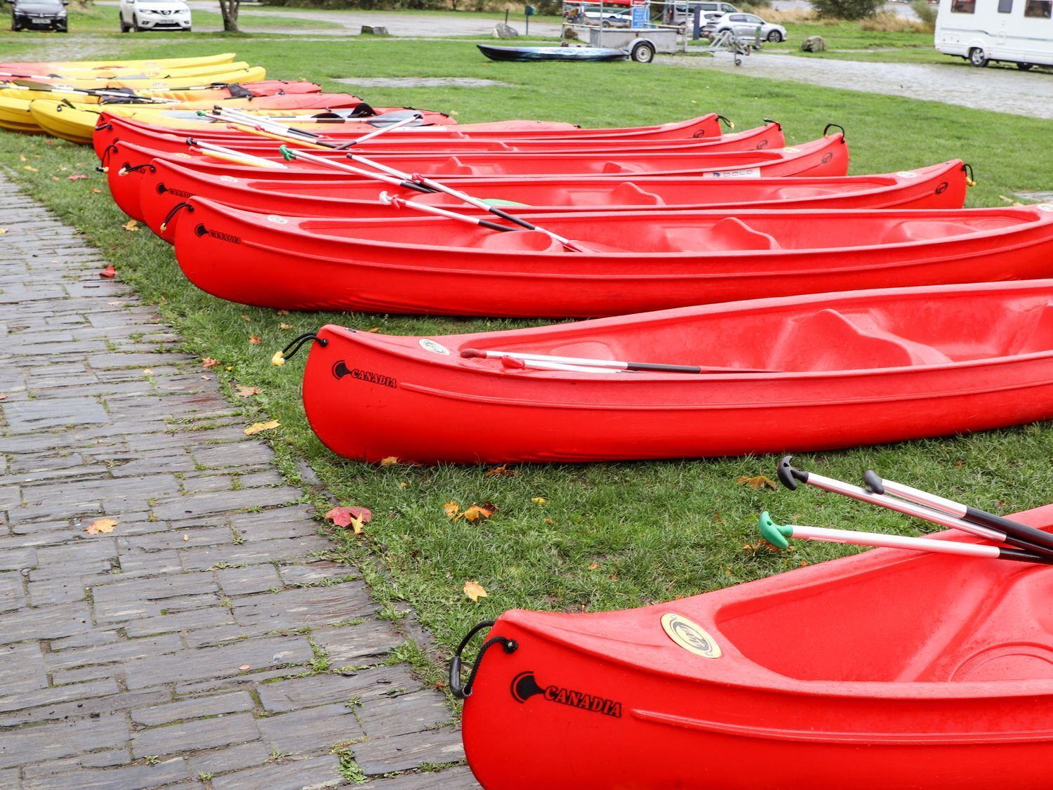 A row of red kayaks lined up on a grassy area next to a paved walkway.