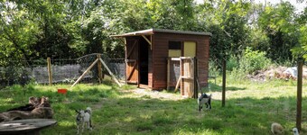 The Foxes Den Shepherds Hut