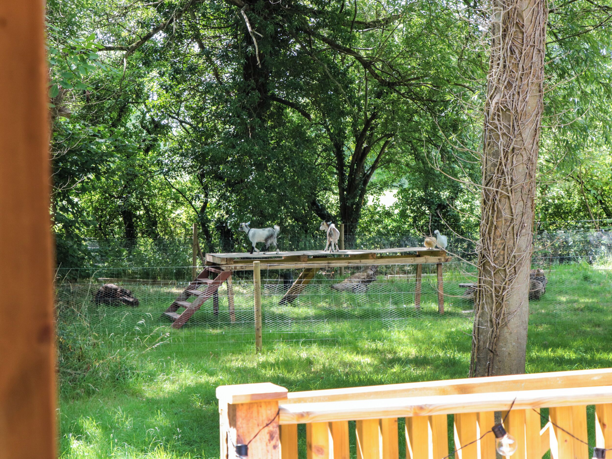 A wooden deck with a metal fence and a wooden ramp leading to a platform.