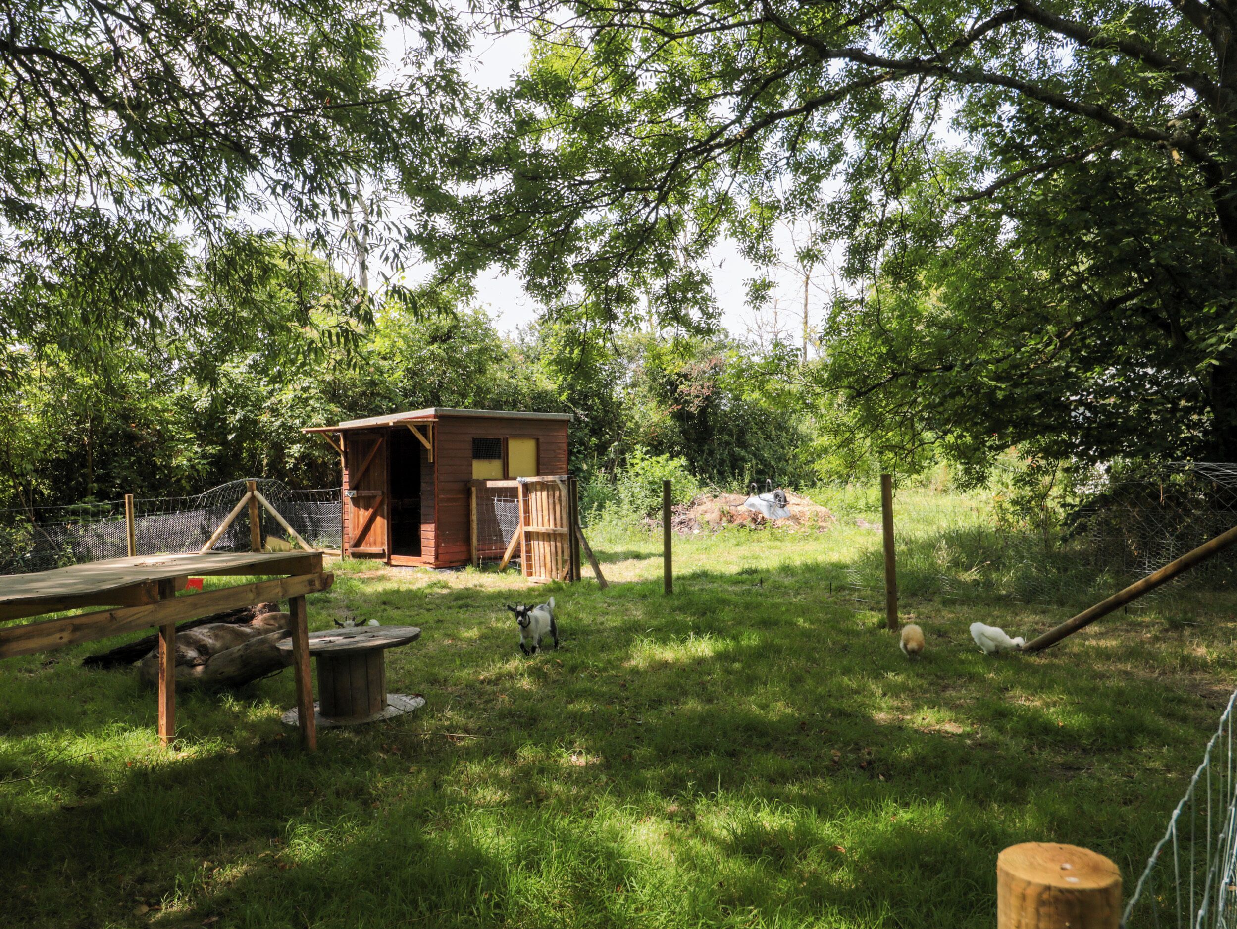 A rustic wooden cabin with a fenced yard, surrounded by lush greenery and trees.