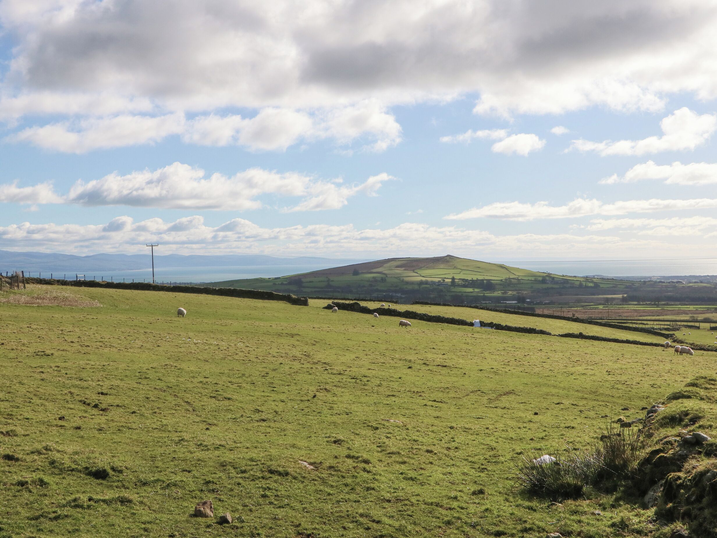 A green field with sheep grazing and a hill in the background.