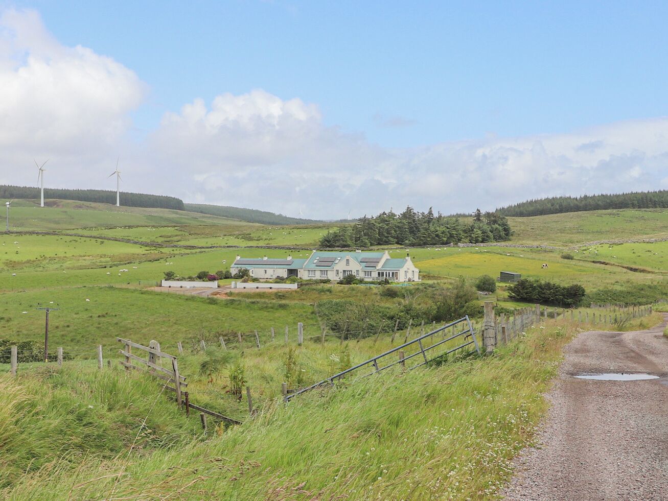 A rural landscape with a house, wind turbines, and grazing sheep.