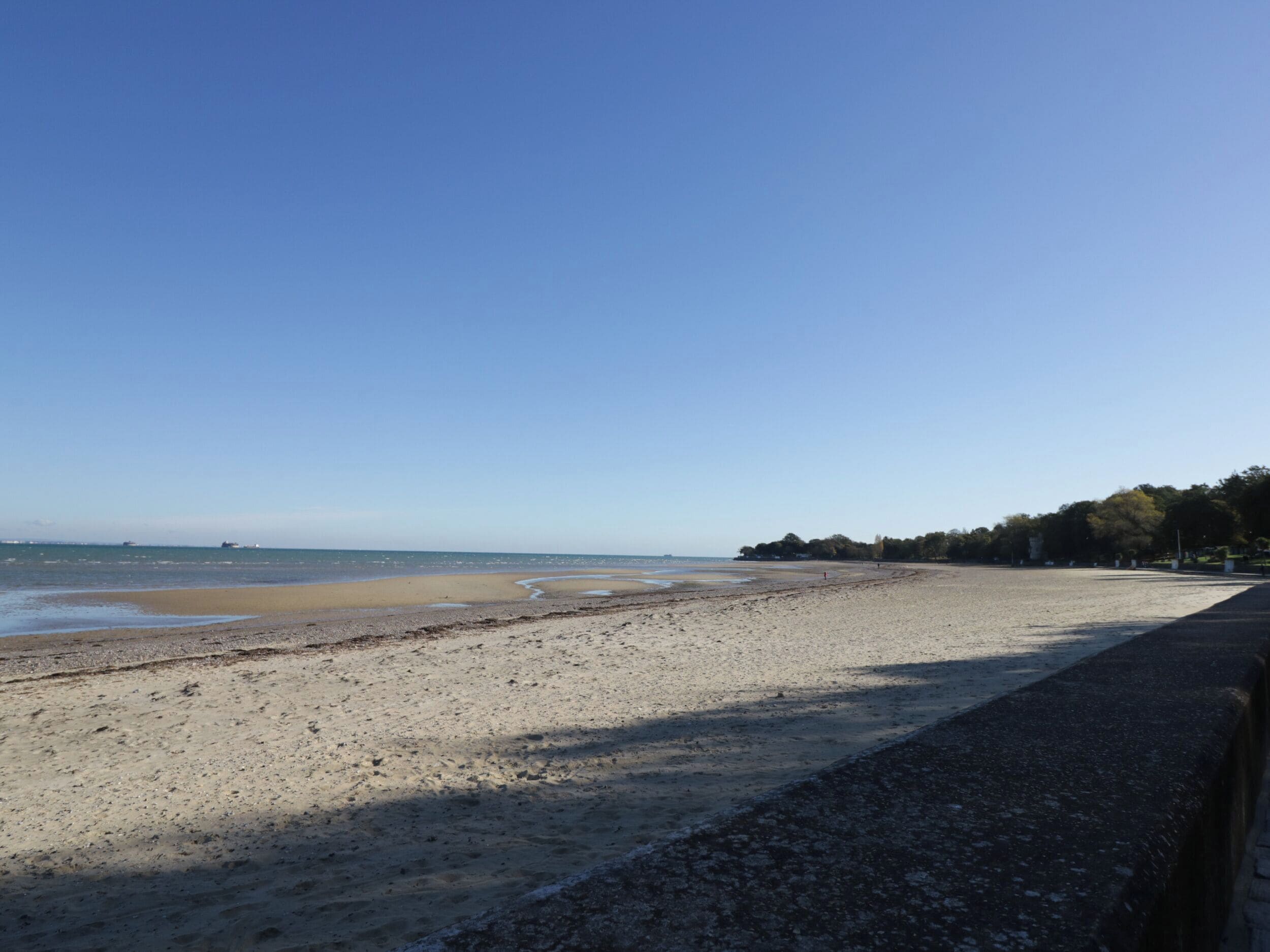A beach with a clear sky, a sandy shore, and a line of trees in the background.