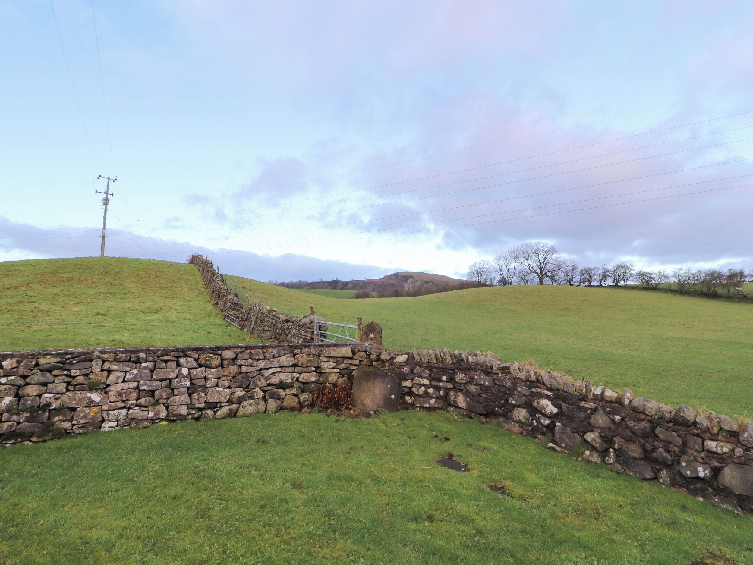 A stone wall with a gate, a grassy field, and a hill with trees in the background.