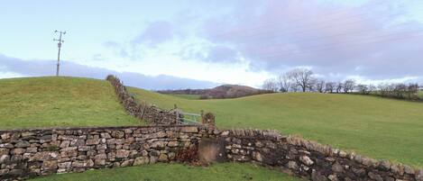 A stone wall with a gate, a grassy field, and a hill with trees in the background.