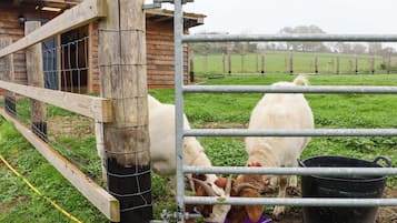 Overnattingsstedets uteområder