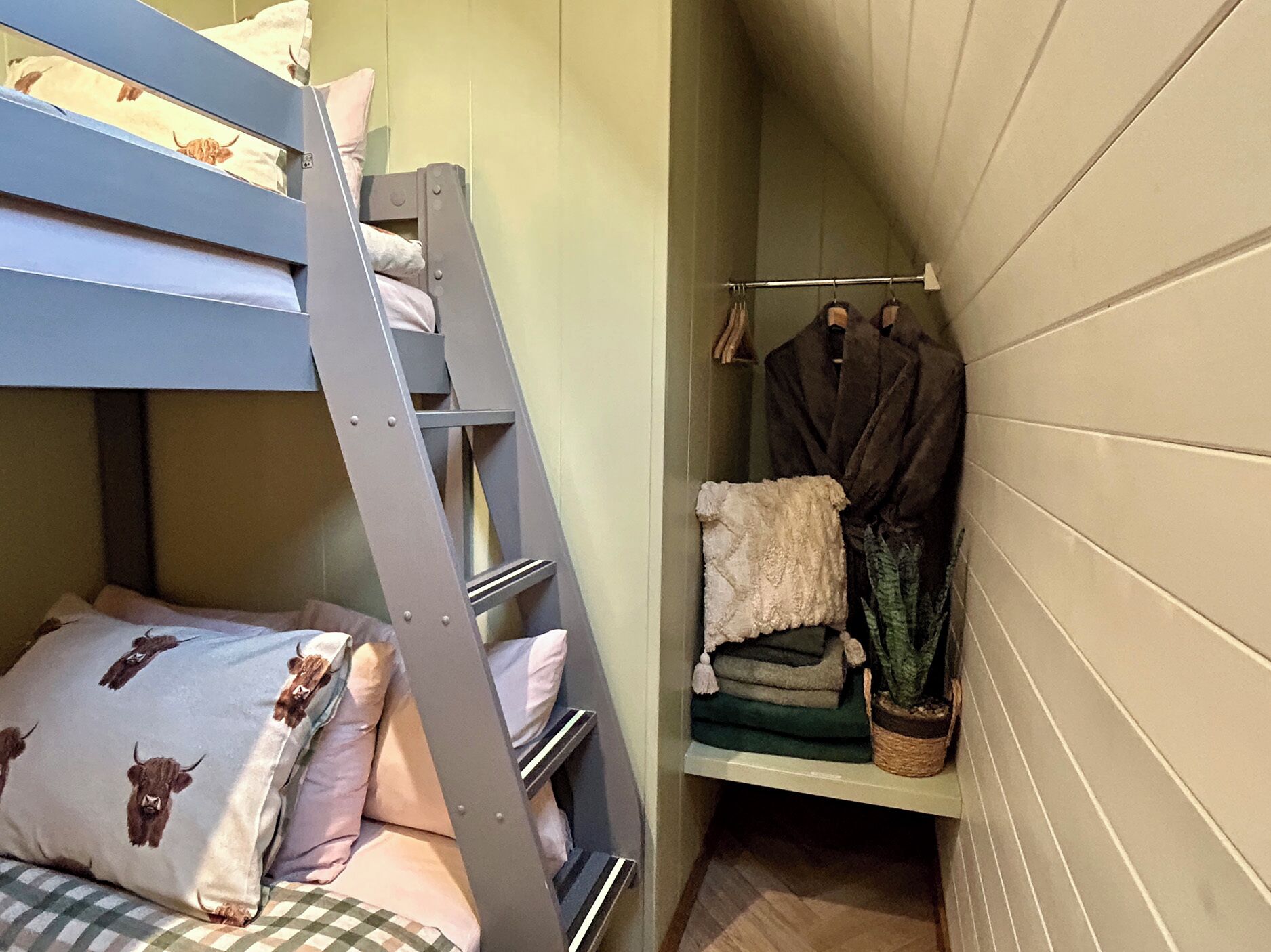 A bunk bed with a ladder, a small shelf with a coat rack, and a potted plant.
