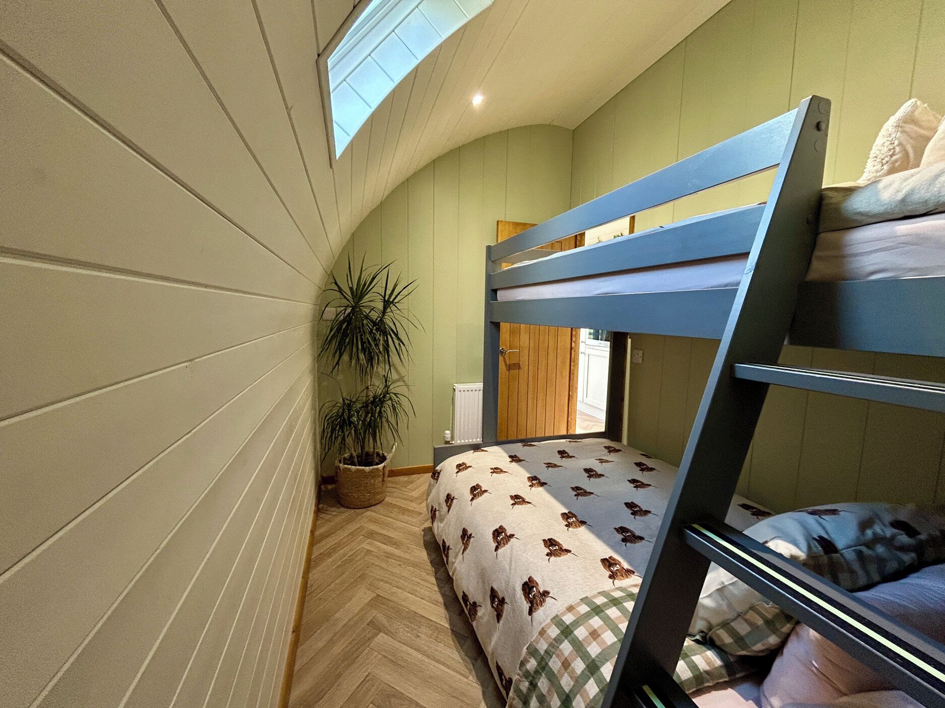 A narrow room with bunk beds, a potted plant, and a radiator.