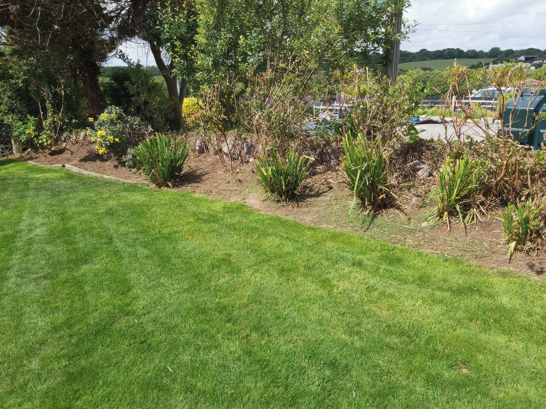 Zona verde bien cuidada con diversas plantas y árboles, cielo despejado y un estacionamiento al fondo.