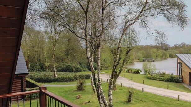 Une vue depuis un balcon en bois donnant sur un espace verdoyant, avec des arbres et un lac.