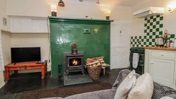 A cozy living room with a fireplace, a television, and a kitchen area with checkered tiles.