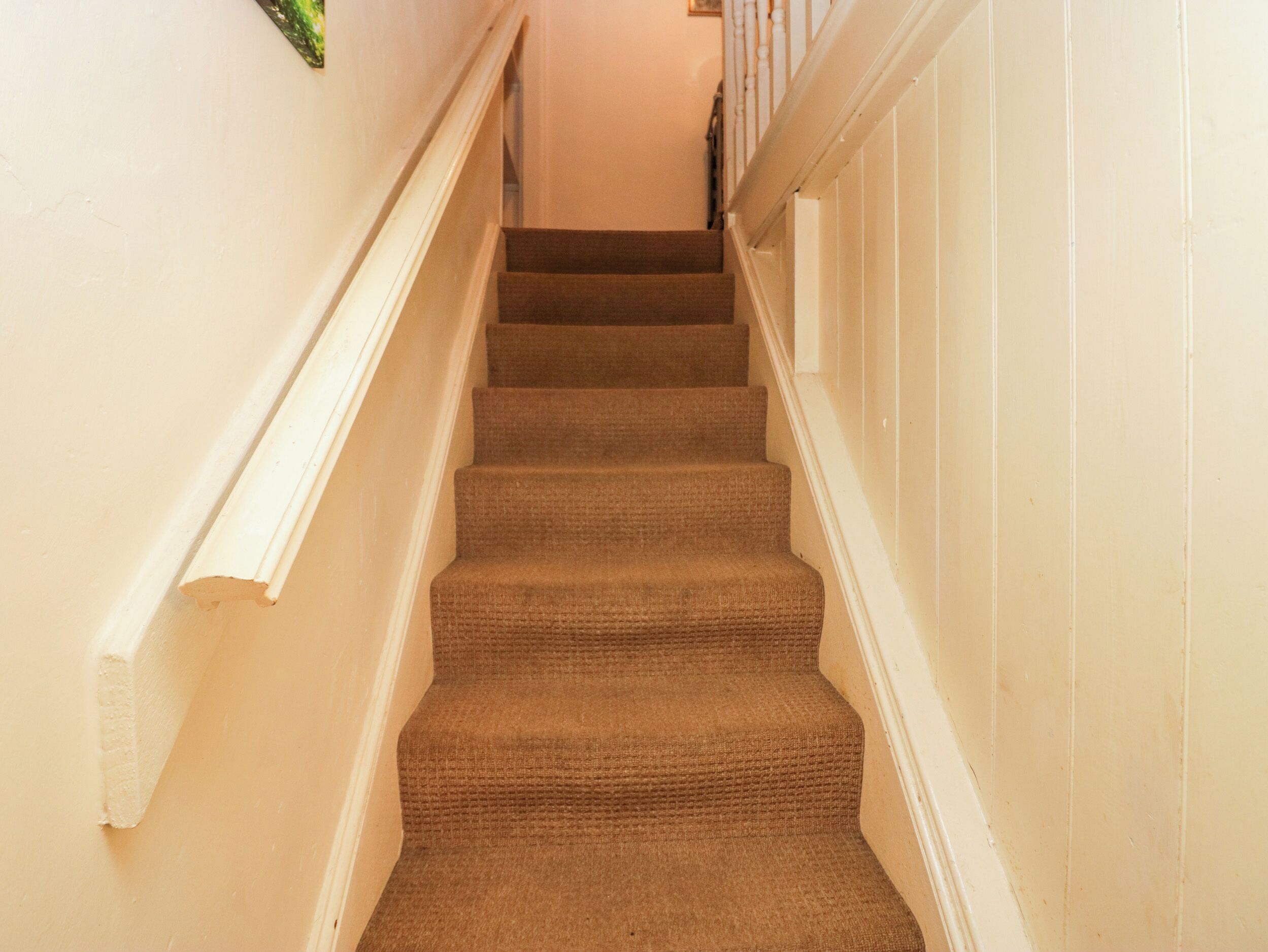 A carpeted staircase with white handrails and a light-colored wall.