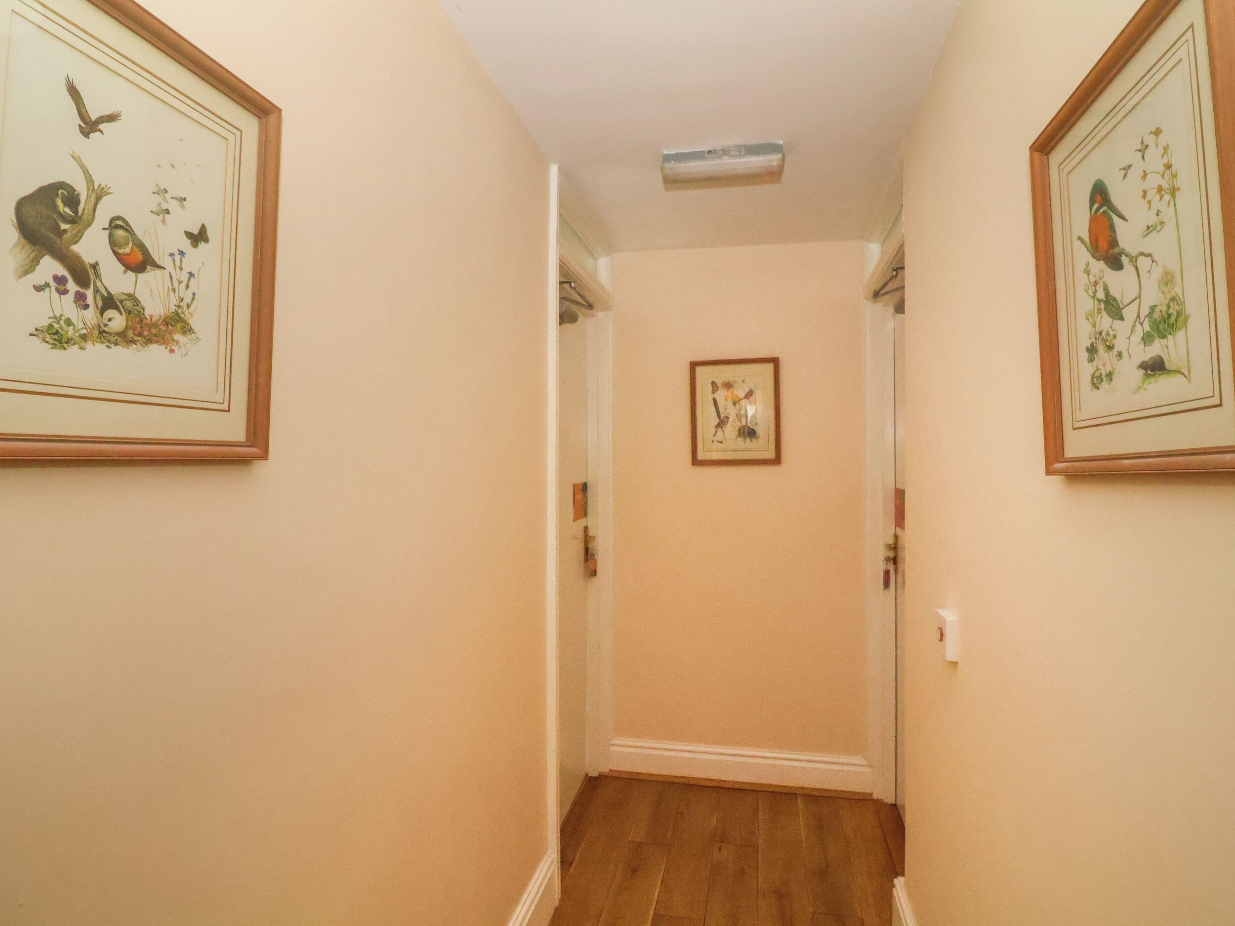 A hallway with framed botanical prints on the walls, a door at the end, and a ceiling light.
