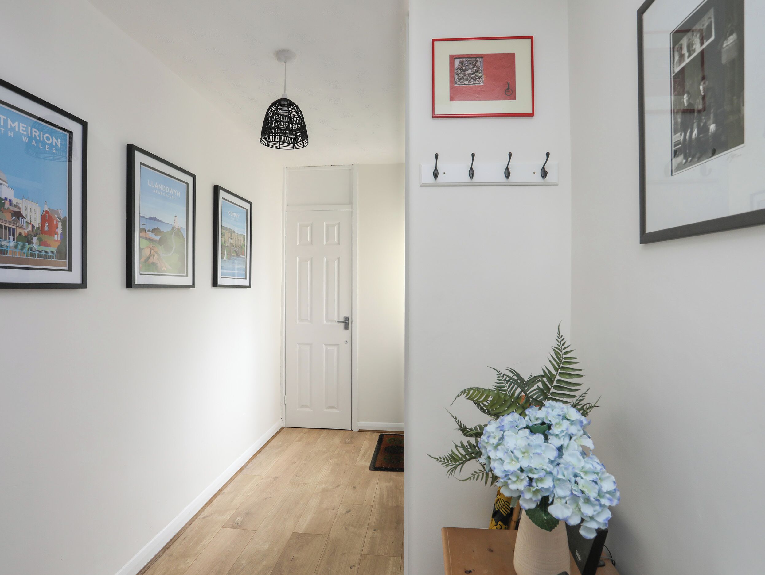 A hallway with framed pictures, a black pendant light, a white door, and a plant with blue flowers.