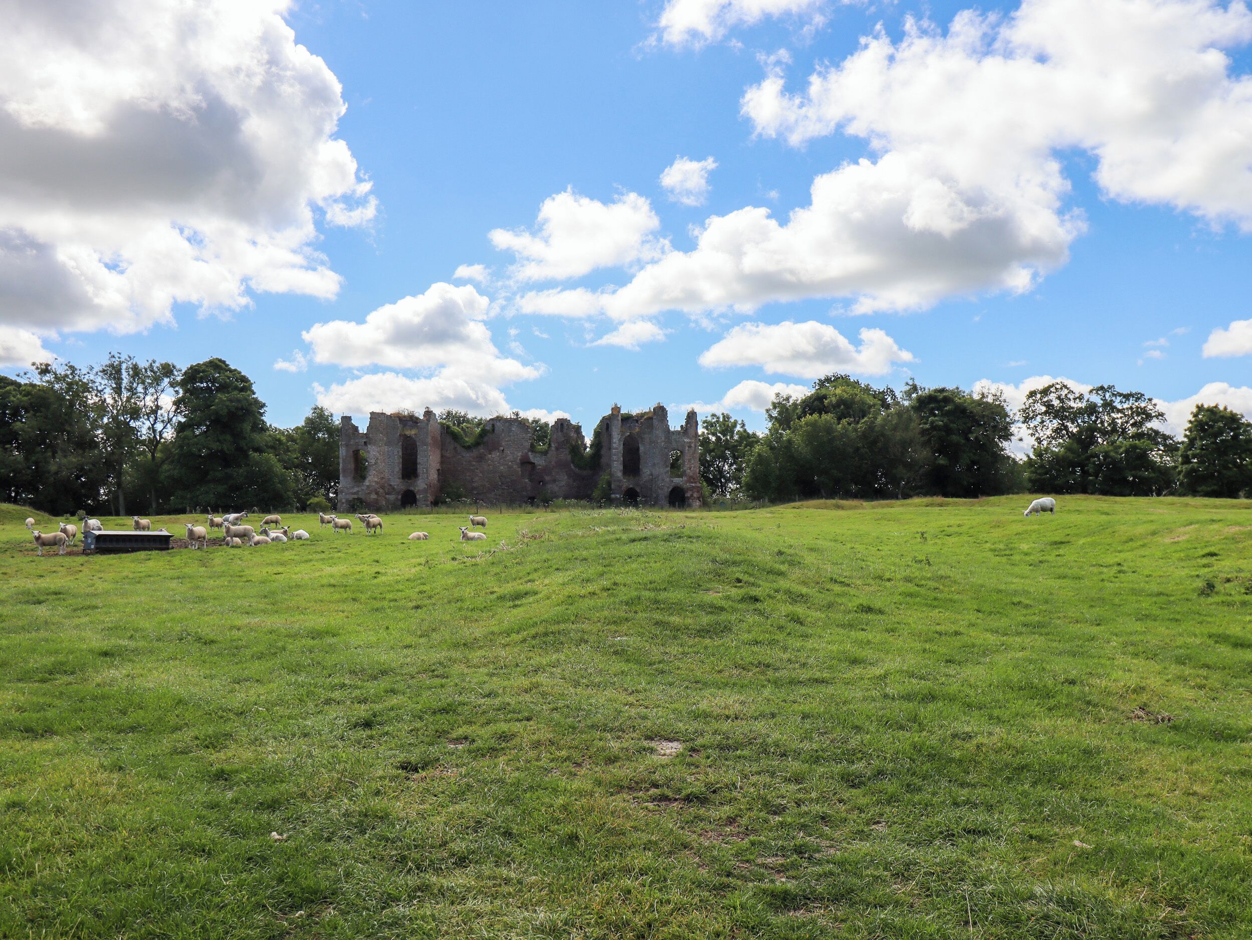A grassy field with sheep and an ancient stone building in the background.