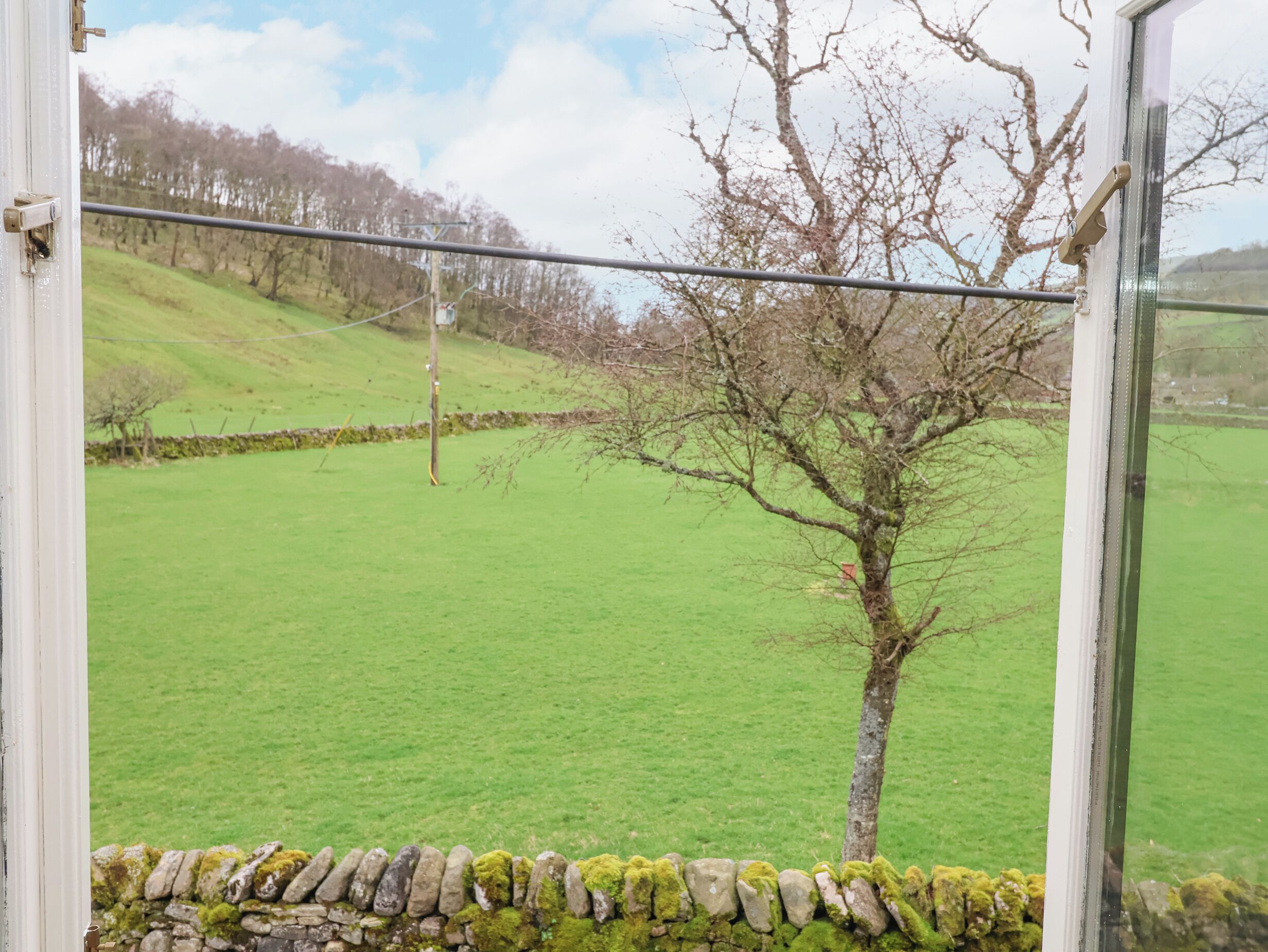 Blick aus einem Fenster auf ein grünes Feld mit einer Steinmauer und einem Baum.