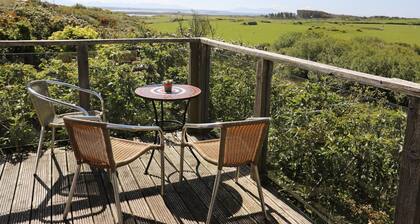 Ty Mynydd
