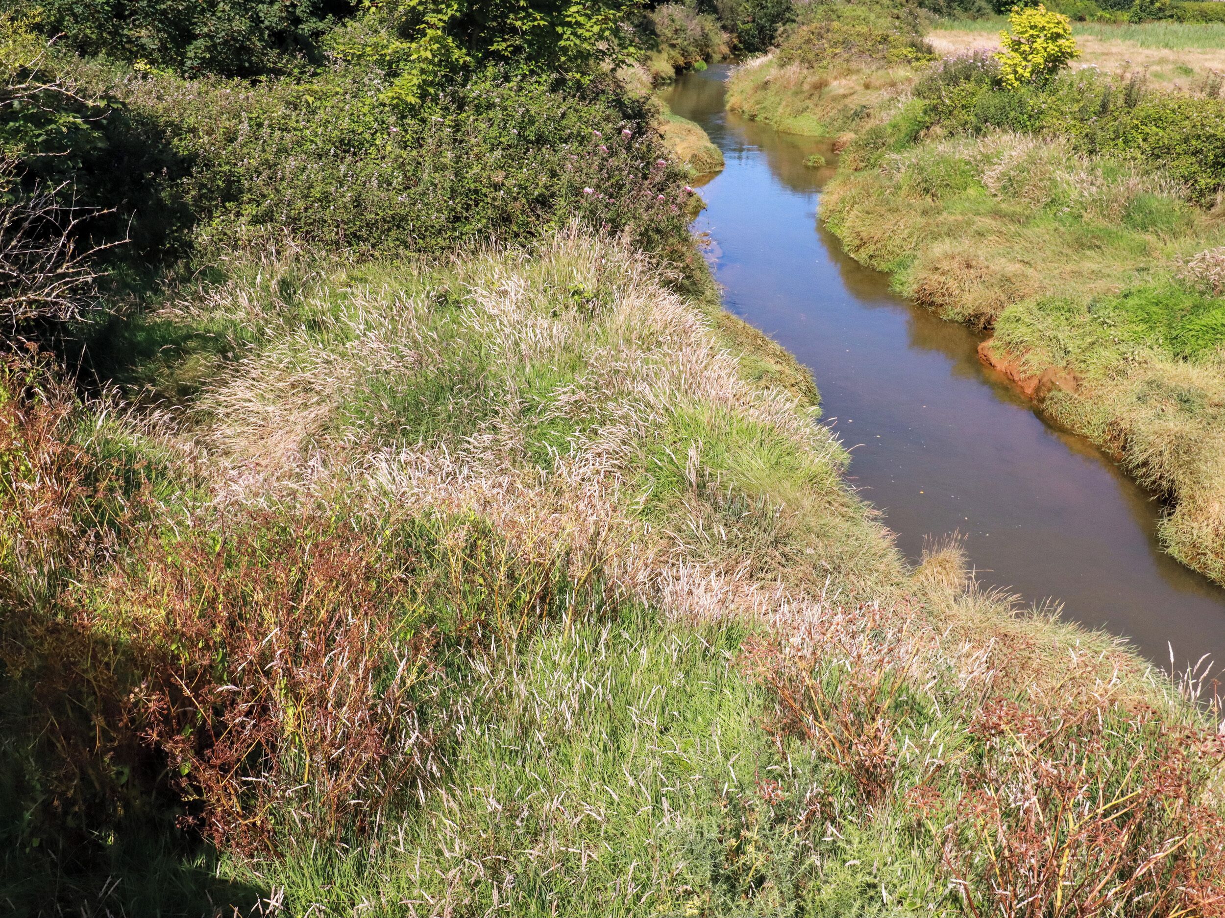 Un paisaje natural con un estrecho canal de agua rodeado de zonas herbáceas y matorrales densos.