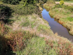 Eine natürliche Landschaft mit einem schmalen Wasserlauf, umgeben von Wiesen und dichtem Buschwerk.
