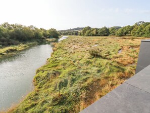 Blick auf ein Flussufer mit Betonweg und grünen Ufern.