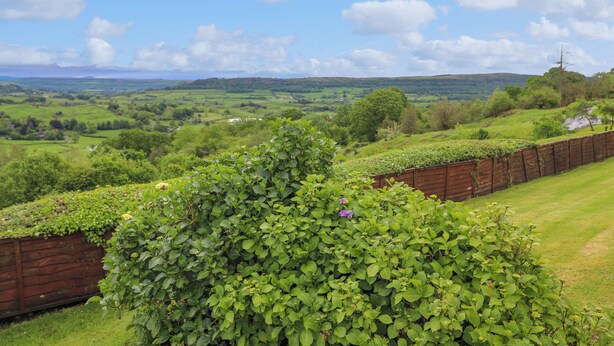 A lush green landscape with a wooden fence and a bush in the foreground. - Addyfield Farmhouse (Windermere)