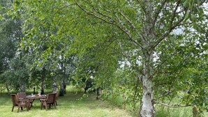 Ein Holz-Esstisch mit Stühlen im Freien, in der Nähe steht eine Birke.