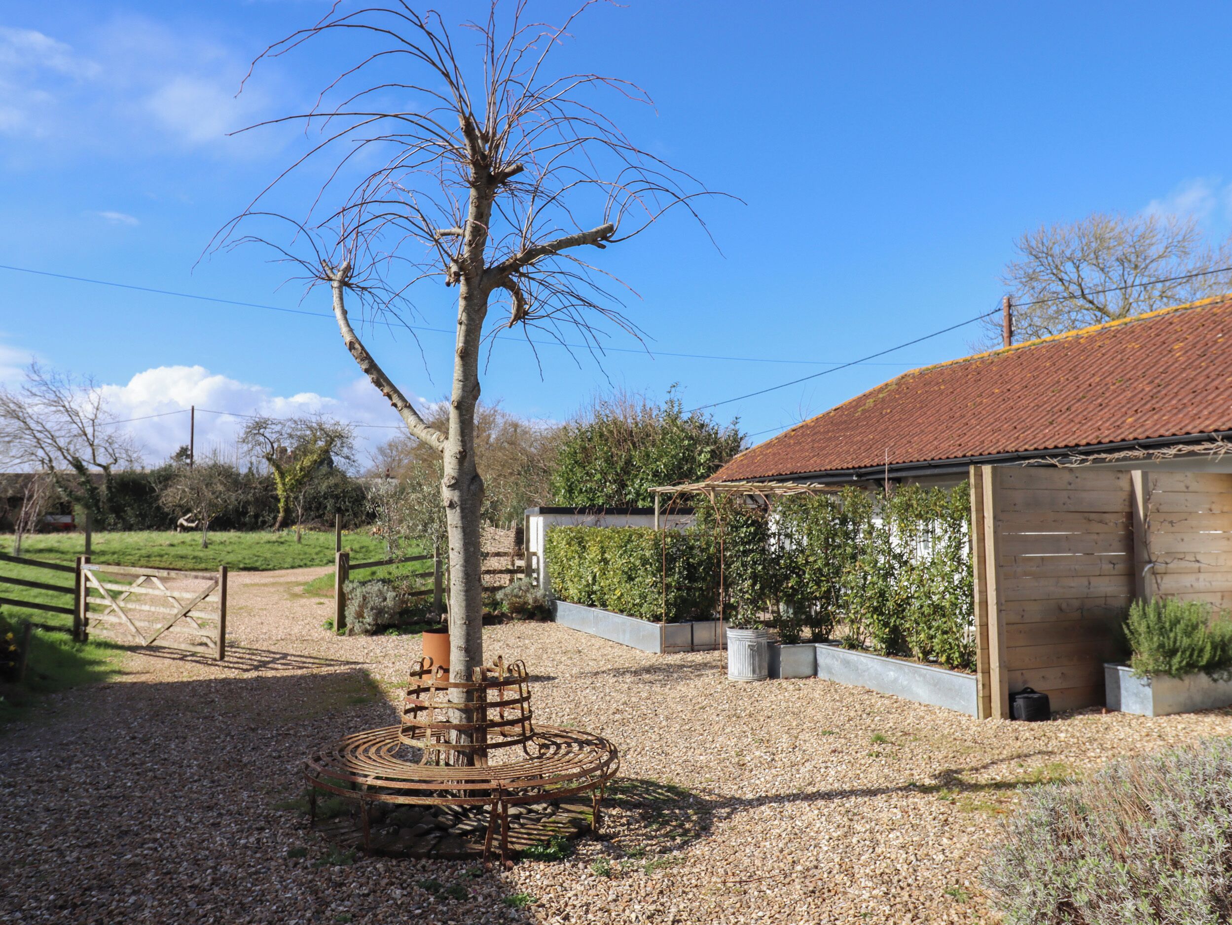 A rustic outdoor setting with a tree supported by a metal structure, gravel ground, and a wooden building with a tiled roof.