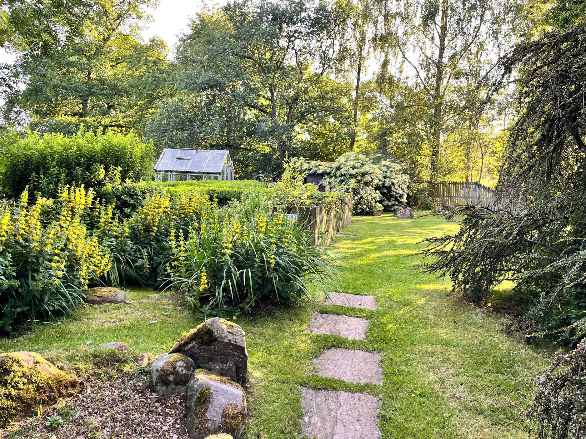 A garden with a greenhouse, stone pathway, and various plants.