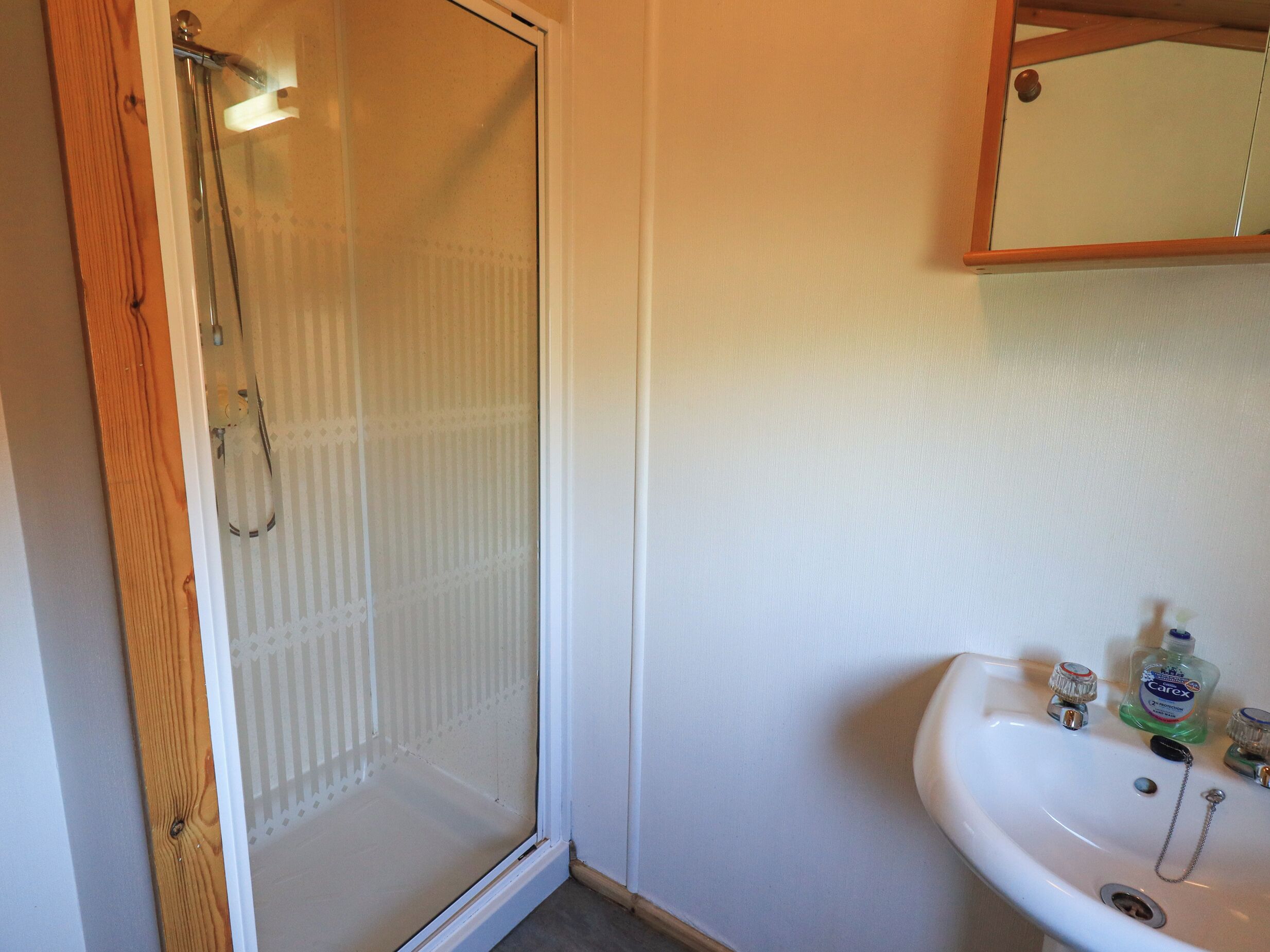 Un baño con mampara de ducha de vidrio, un lavamanos con un frasco de enjuague bucal Carex, y un espejo sobre el lavamanos.