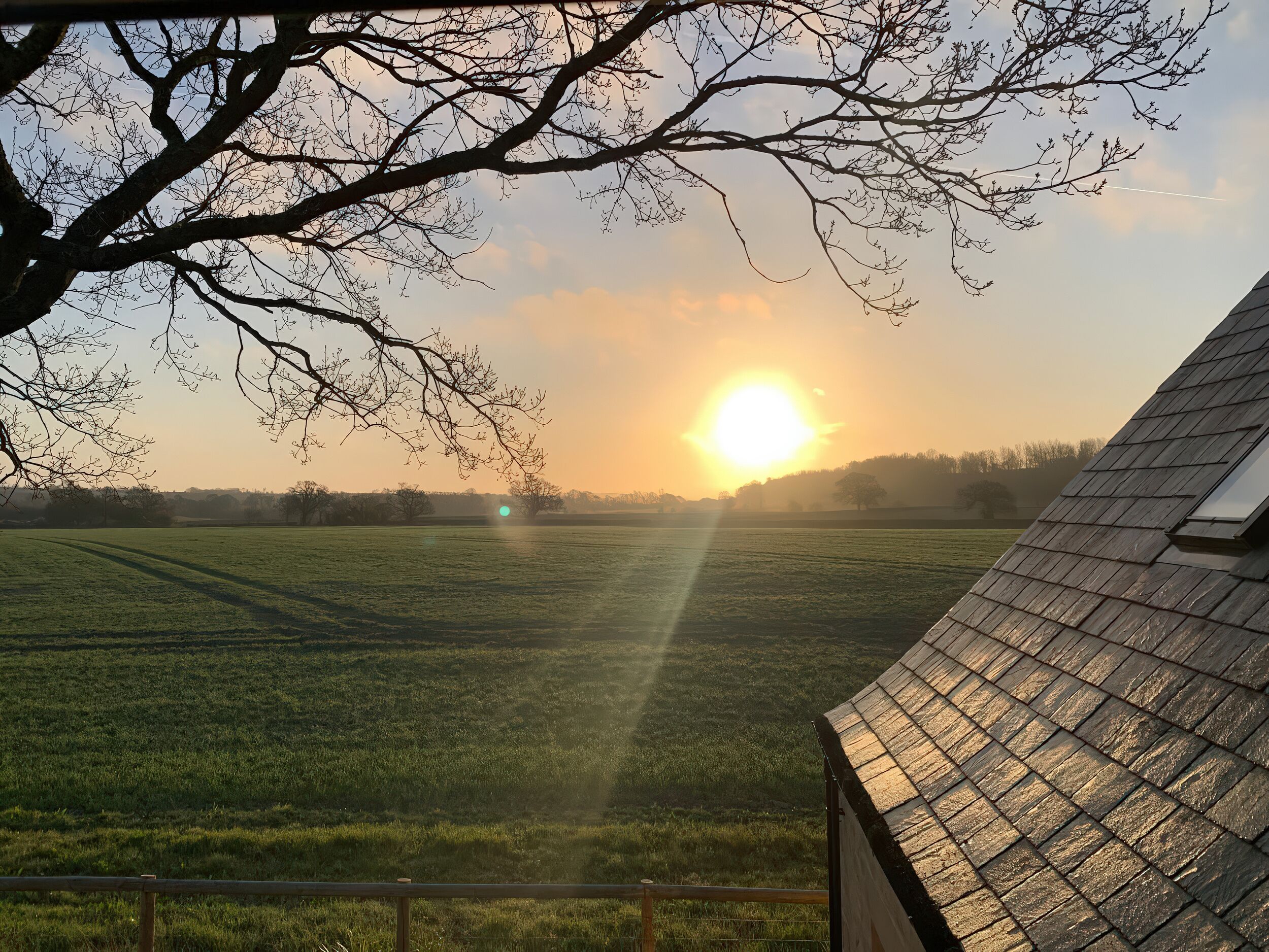 A rural landscape with a field, a tree, and a building with a sloped roof.