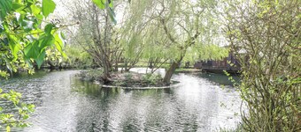 Damsel Shepherds Hut