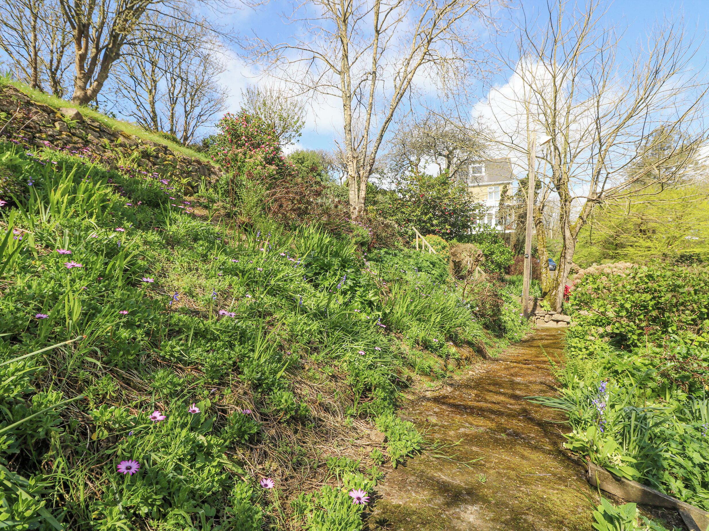 A narrow, natural path flanked by lush greenery and flowering plants, leading towards a residential area with houses in the background.