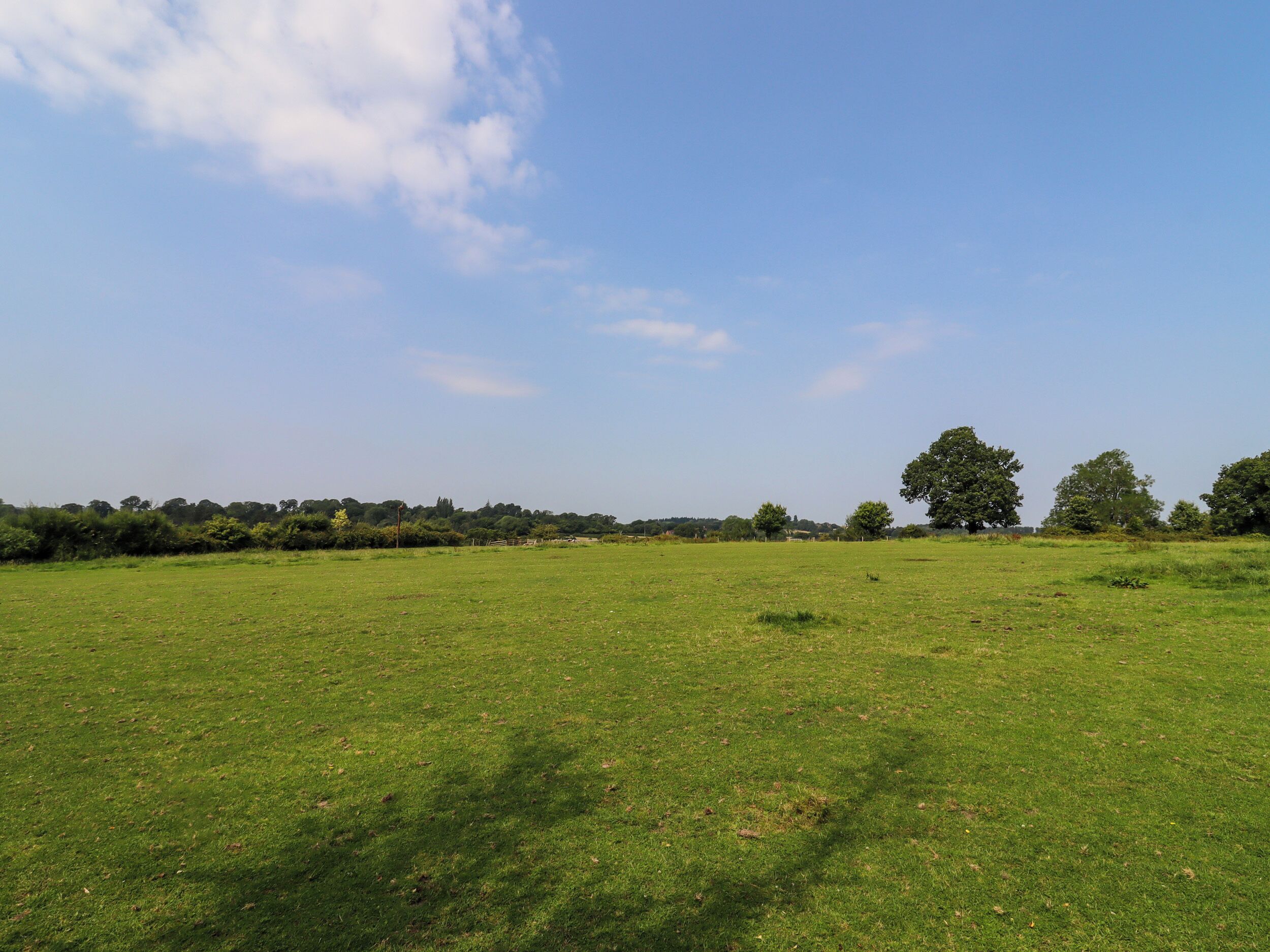A wide, open grassy field with a few scattered trees and a clear blue sky.