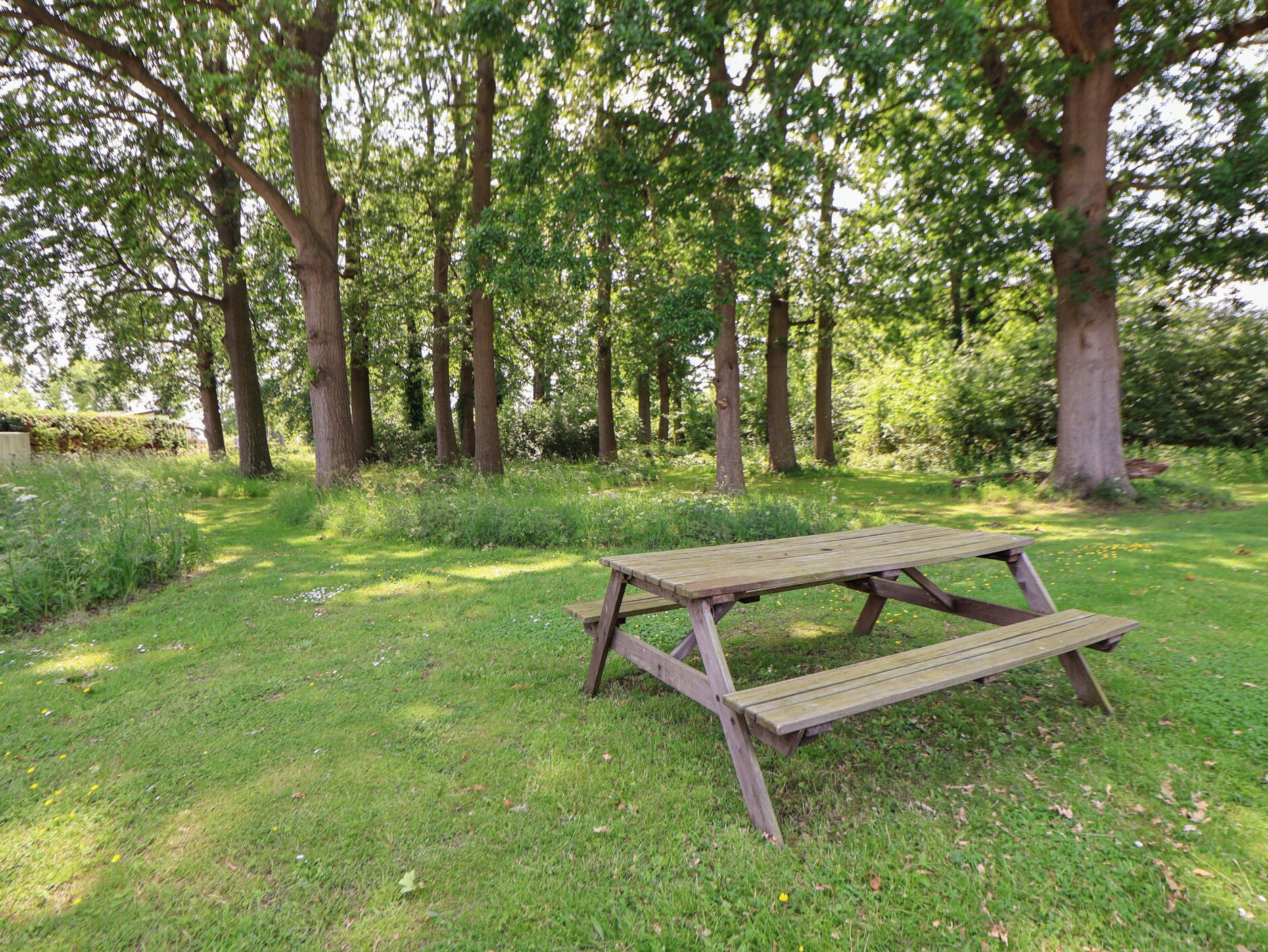 A picnic table in a grassy area surrounded by trees.